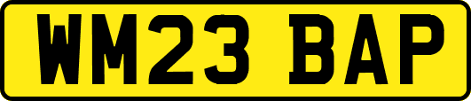 WM23BAP