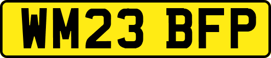 WM23BFP