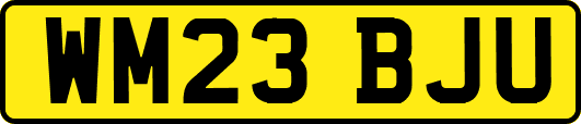 WM23BJU