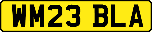WM23BLA