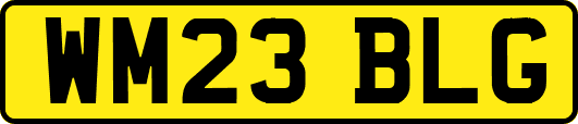 WM23BLG