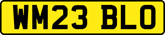 WM23BLO