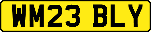 WM23BLY