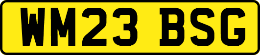 WM23BSG