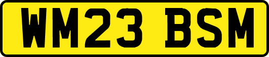 WM23BSM