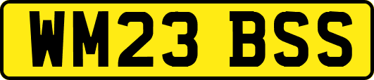 WM23BSS