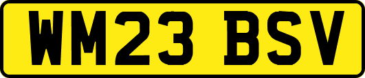 WM23BSV