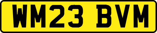 WM23BVM