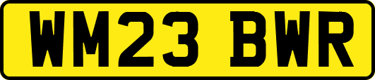 WM23BWR