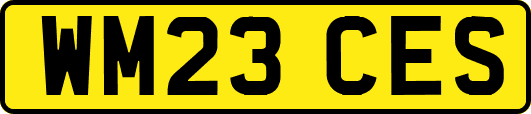 WM23CES