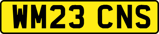 WM23CNS