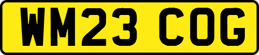 WM23COG