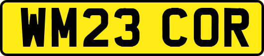 WM23COR
