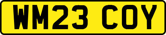 WM23COY