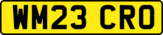 WM23CRO