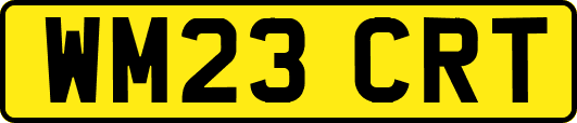 WM23CRT