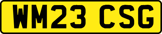 WM23CSG
