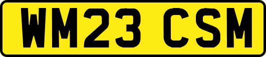 WM23CSM