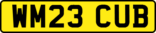 WM23CUB