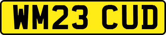 WM23CUD
