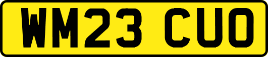 WM23CUO