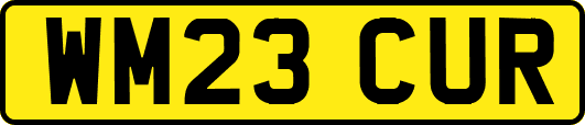WM23CUR