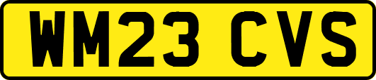 WM23CVS