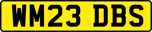WM23DBS