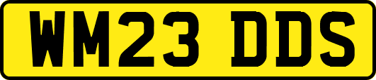 WM23DDS