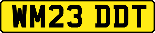 WM23DDT