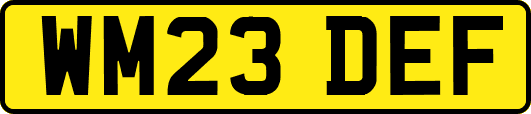 WM23DEF