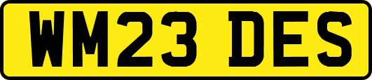 WM23DES
