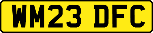 WM23DFC