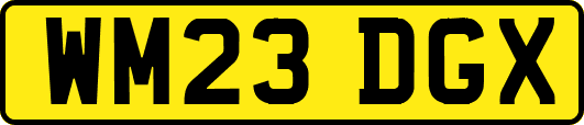 WM23DGX
