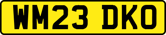 WM23DKO