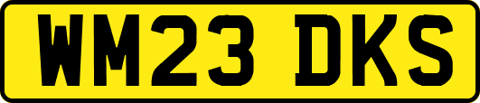 WM23DKS
