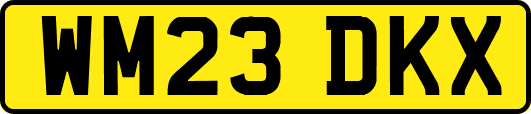 WM23DKX
