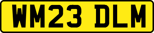 WM23DLM