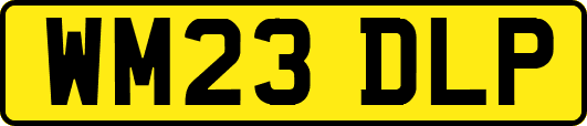 WM23DLP