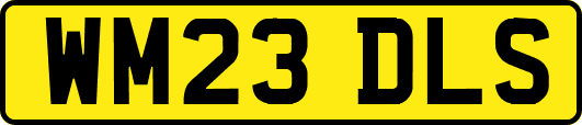 WM23DLS