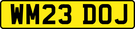 WM23DOJ