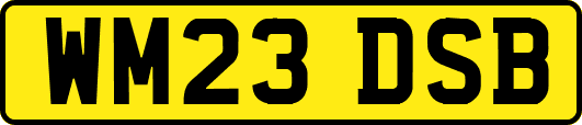WM23DSB