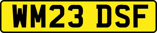 WM23DSF