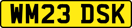 WM23DSK
