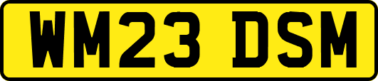 WM23DSM