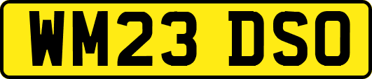WM23DSO