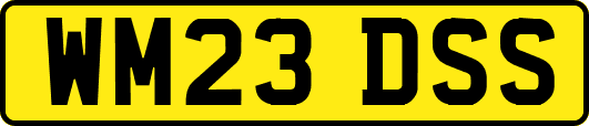 WM23DSS