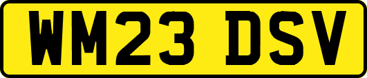 WM23DSV