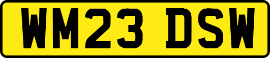 WM23DSW