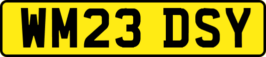 WM23DSY